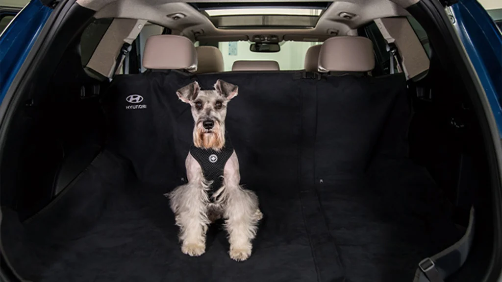 accesorios para tu mascota Hyundai